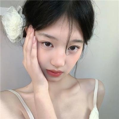 再见了,亲爱的总统